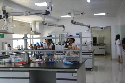 湖南科技宣傳周暨衡陽食品藥品檢驗檢測實驗室公眾開放日 網絡技術服務助推市民科普體驗